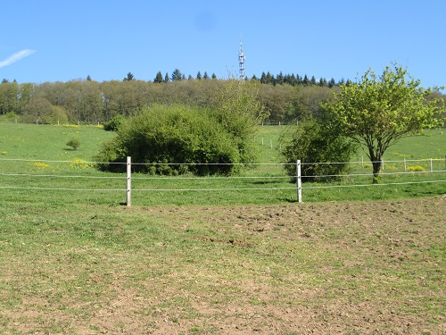 Bild "Willkommen:IMG_koppeloffenstall_500.jpg"