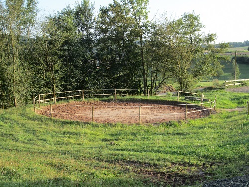 Bild "Willkommen:IMG_roundpenalt_500.jpg"