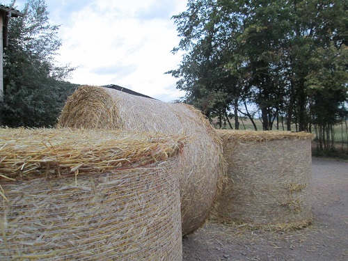 Bild "Willkommen:IMG_strohballen_500.jpg"